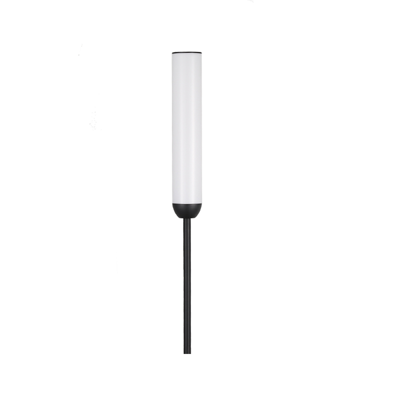 Matte Black LED Floor Lamp For Living Room And Bedroom, Supports Remote Control And Stepless Dimming & Foot Switch Control, Comes With A Remote Control