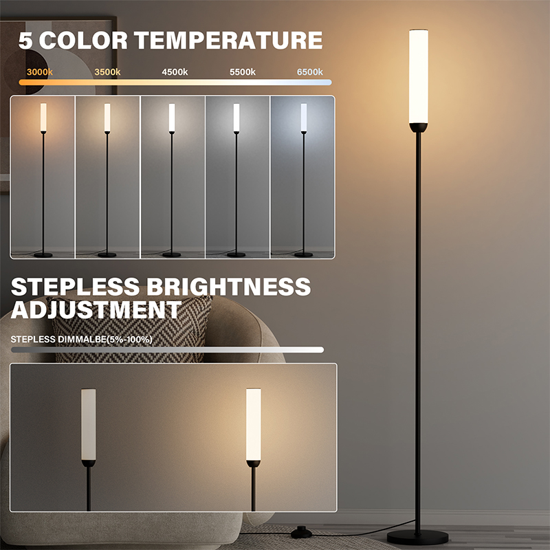Matte Black LED Floor Lamp For Living Room And Bedroom, Supports Remote Control And Stepless Dimming & Foot Switch Control, Comes With A Remote Control
