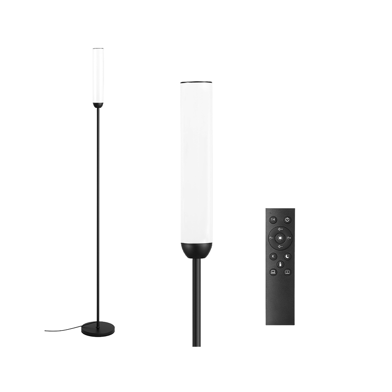 Matte Black LED Floor Lamp For Living Room And Bedroom, Supports Remote Control And Stepless Dimming & Foot Switch Control, Comes With A Remote Control