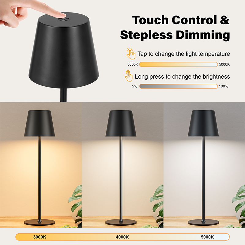 Pair Of Metal Matte Black LED Table Lamps For Living Room, Dining Room, Bedroom, And Outdoor Use