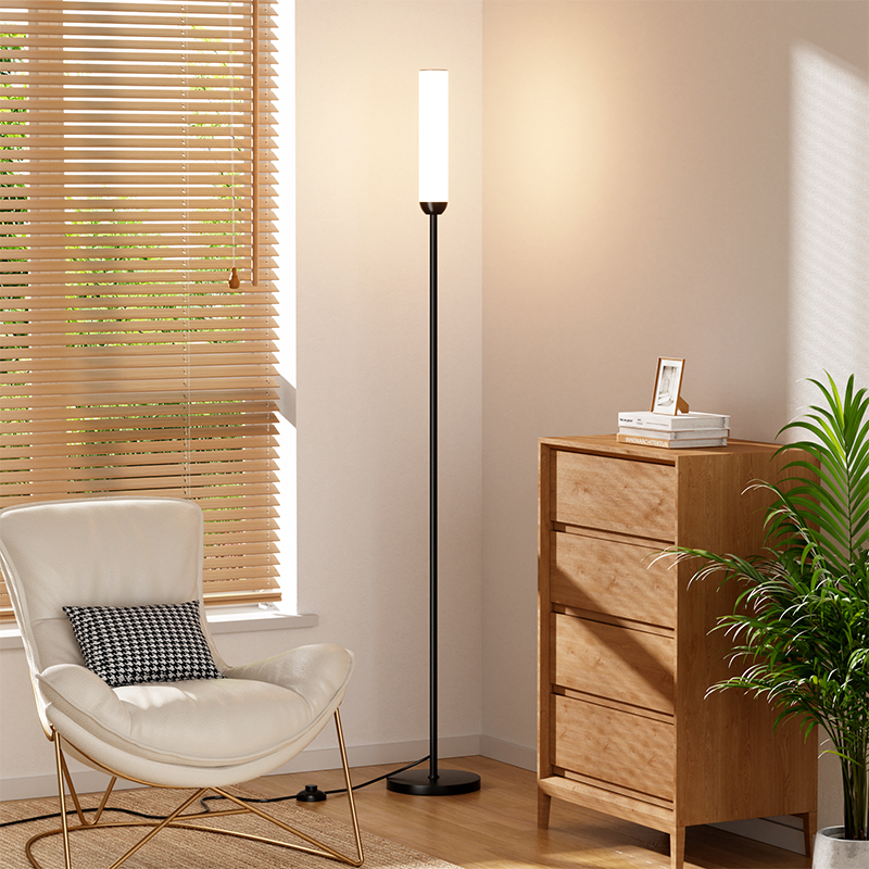 Matte Black Stepless Adjustable LED Floor Lamp with Remote Control, for Living Room, Bedroom and Office